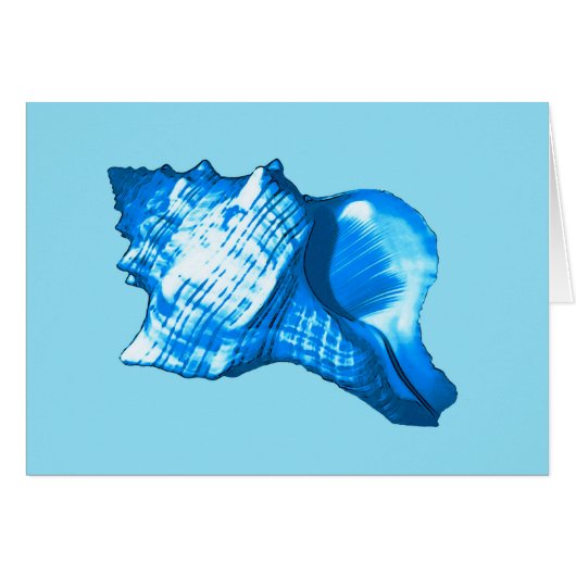 Conch shell sketch - cobalt and sky blue cards (Front Horizontal)