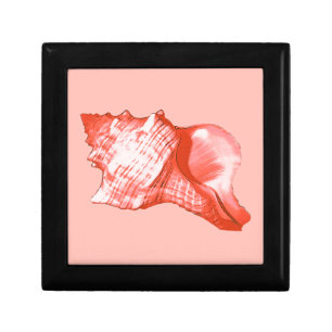 Conch shell sketch - coral, shell pink and white jewelry box