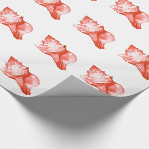 Conch shell sketch - coral, shell pink and white wrapping paper