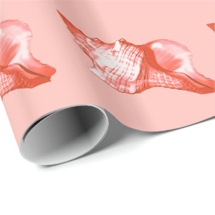 Conch shell sketch - coral, shell pink and white wrapping paper