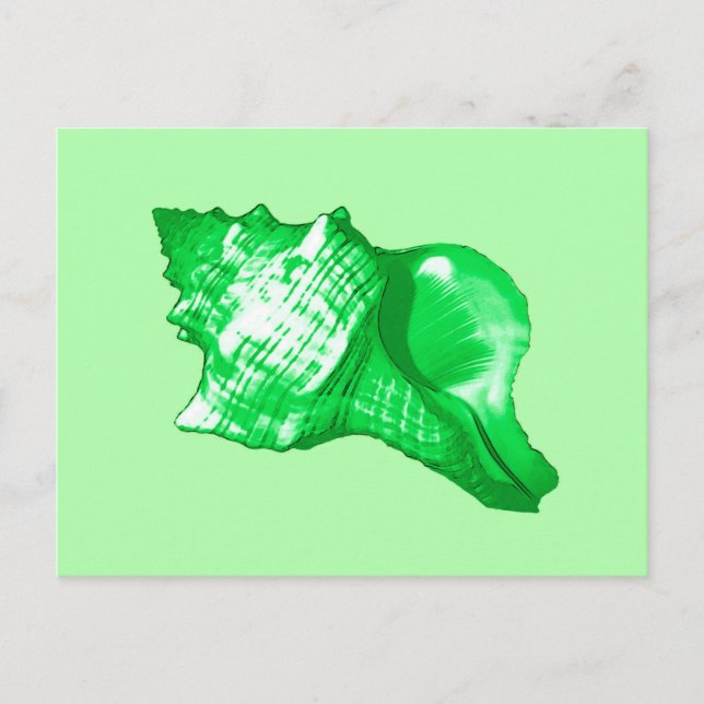 Conch shell sketch - emerald and lime green postcard (Front)