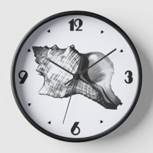 Conch shell sketch - shades of grey and white clock
