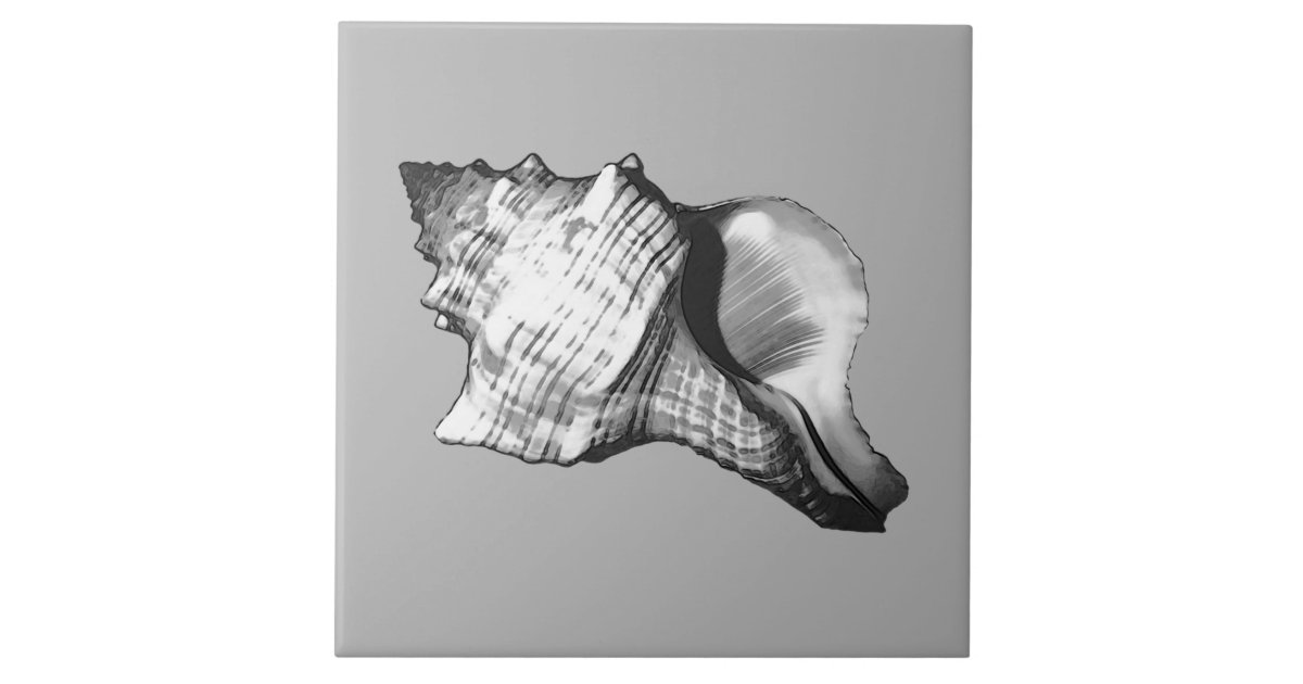 Conch Shell Sketch Shades Of Grey And White Tile Zazzle Com Conch shell is a quest item needed for sea legs. conch shell sketch shades of grey and white tile zazzle com