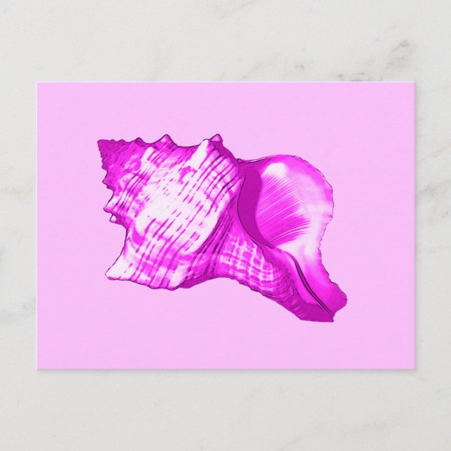 Conch shell sketch - shades of orchid and white postcard (Front)
