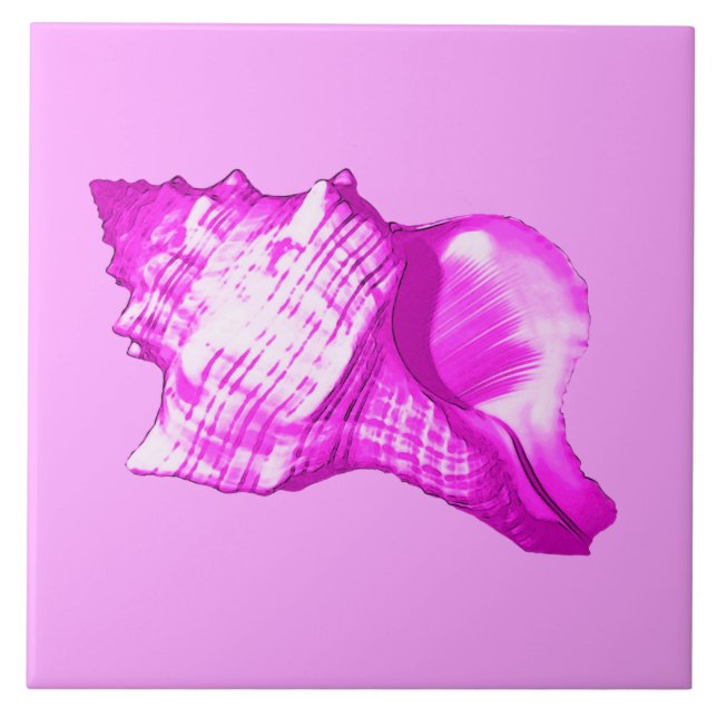 Conch shell sketch - shades of orchid and white tile (Front)