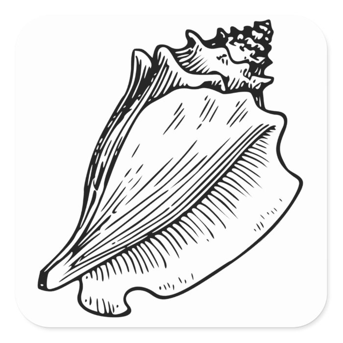 Conch Shell Sketch Square Stickers