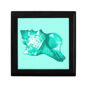 Conch shell sketch - turquoise, white and aqua jewelry box