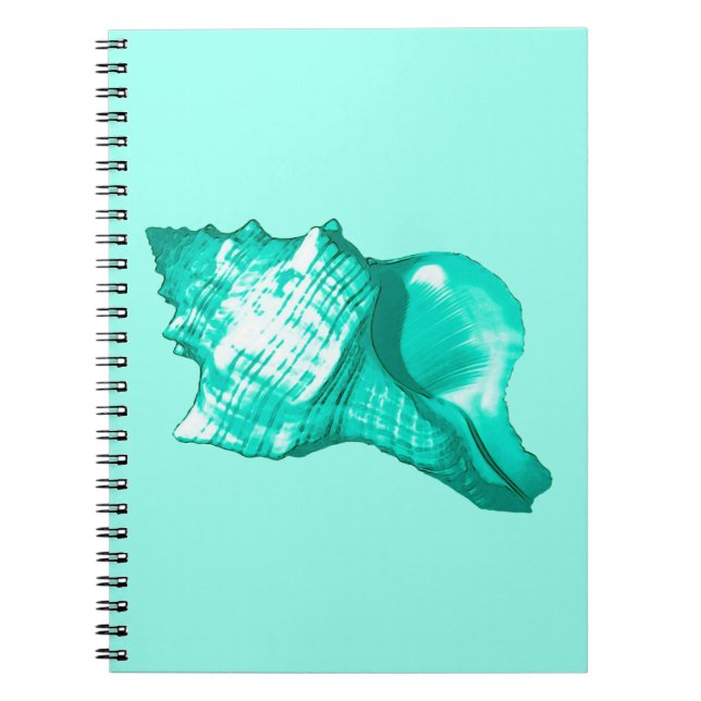 Conch shell sketch - turquoise, white and aqua notebook (Front)