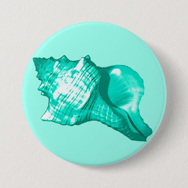 Conch shell sketch - turquoise, white and aqua pinback button (Front)