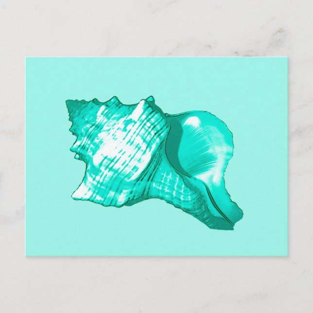 Conch shell sketch - turquoise, white and aqua postcard (Front)