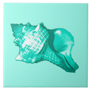 Conch shell sketch - turquoise, white and aqua tile
