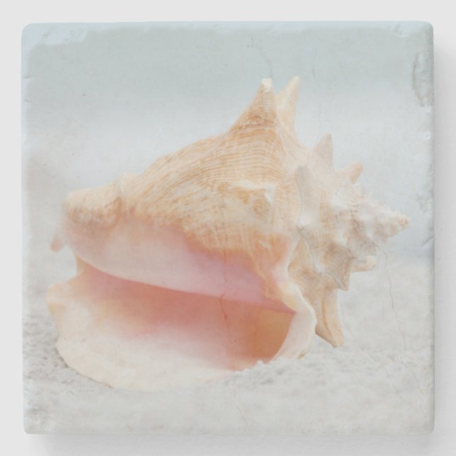 Conch Shell Stone Coaster (Front)