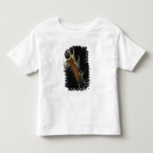 Conch shell toddler t-shirt
