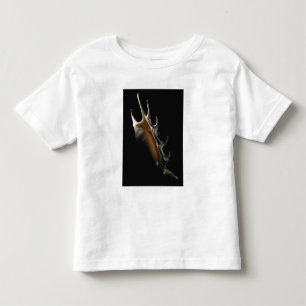 Conch shell toddler t-shirt