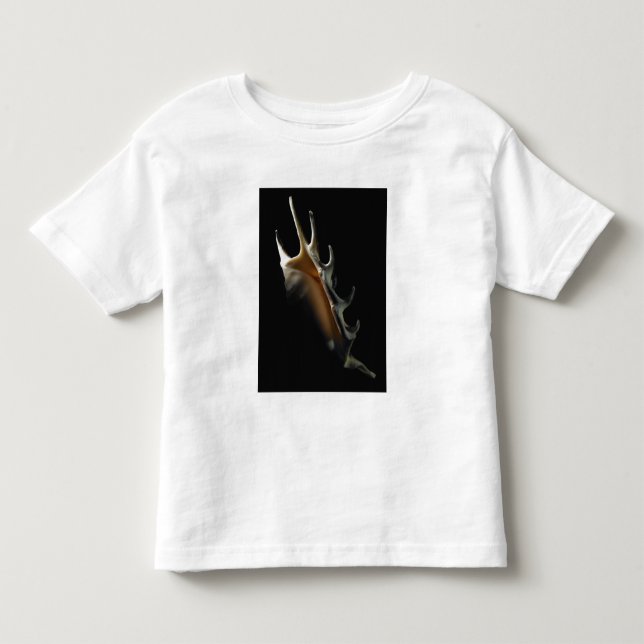 Conch shell toddler t-shirt (Front)