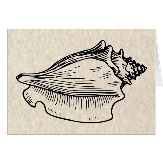 Conch Shell Vintage Illustration Cards (Front Horizontal)