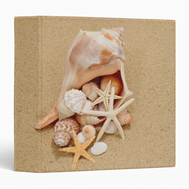 Conch Shell with Shells and Starfish 1.5" Binder (Front/Spine)