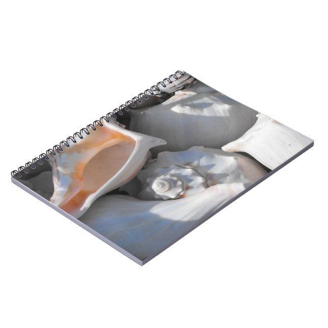 Conch Shells Closeup Notebook (Left Side)