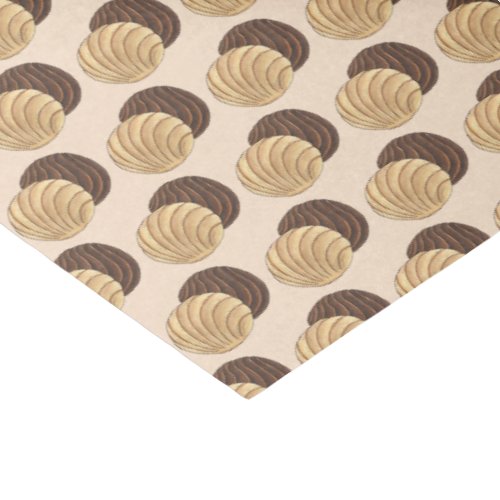 Conchas Mexican Pan Dulce Sweet Bread Panadera Tissue Paper
