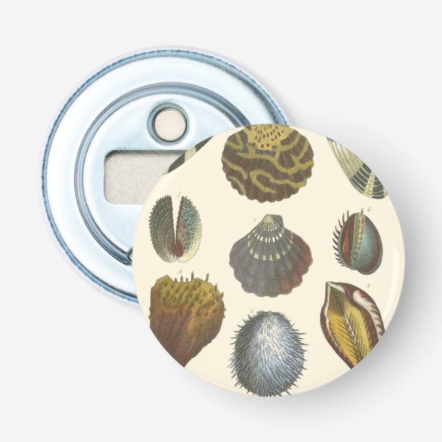 Conchology Collection Bottle Opener (Front)