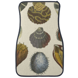 Conchology Collection Car Mat