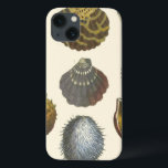 Conchology Collection iPhone 13 Case<br><div class="desc">If you can't get to the beach today, get this classic style image of this unique image of sea life by Albertus Seba! Imagine yourself on a beach discovering Sea anemones that nature has to offer. These seashells and sea plants by the ocean is surrounded by warm sand in this...</div>