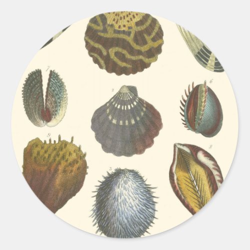 Conchology Collection Classic Round Sticker