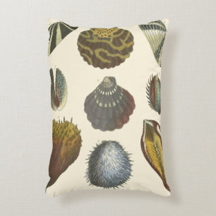 Conchology Collection Decorative Pillow