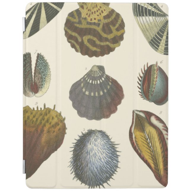 Conchology Collection iPad Smart Cover (Front)