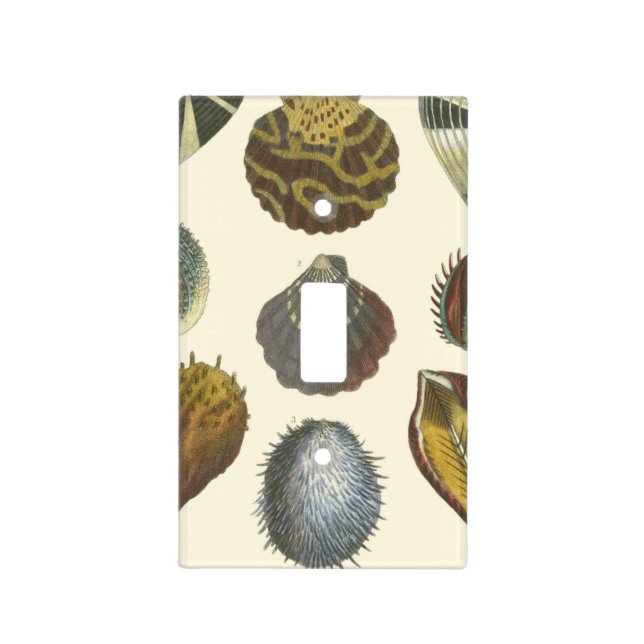 Conchology Collection Light Switch Cover (Front)