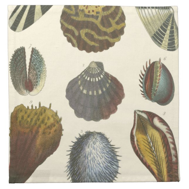 Conchology Collection Napkin (Front)
