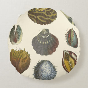 Conchology Collection Round Pillow