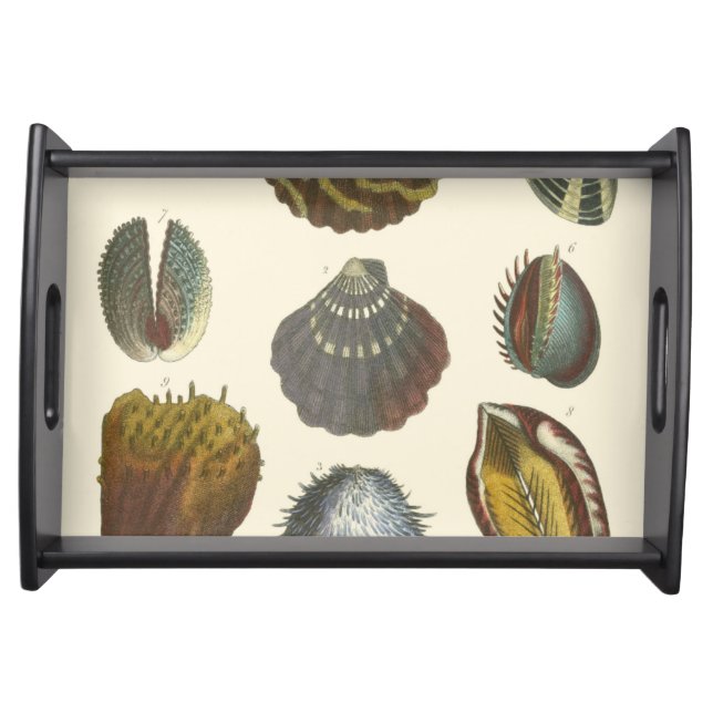 Conchology Collection Serving Tray (Front)