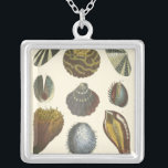 Conchology Collection Silver Plated Necklace<br><div class="desc">If you can't get to the beach today, get this classic style image of this unique image of sea life by Albertus Seba! Imagine yourself on a beach discovering Sea anemones that nature has to offer. These seashells and sea plants by the ocean is surrounded by warm sand in this...</div>