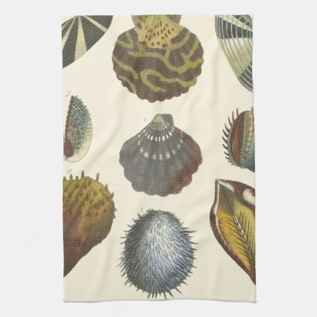 Conchology Collection Towel (Vertical)