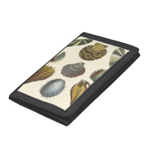 Conchology Collection Trifold Wallet