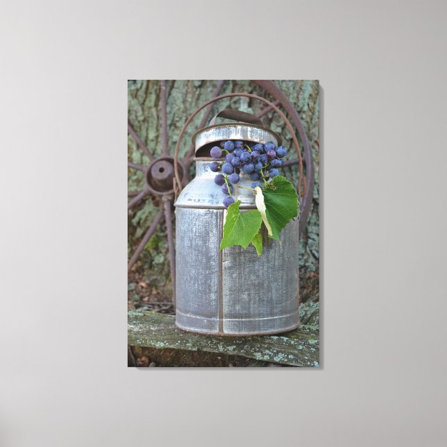Concord grapes in antique can canvas print (Front)
