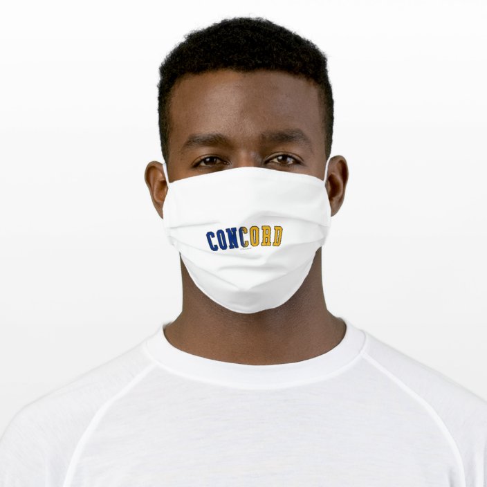 Concord in New Hampshire State Flag Colors Cloth Face Mask