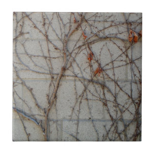 Concrete Block Wall With Vines Ceramic Tile