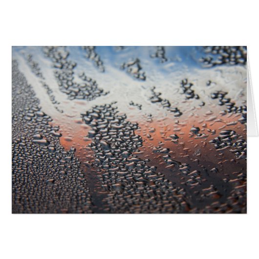 Condensed water drops (Front Horizontal)