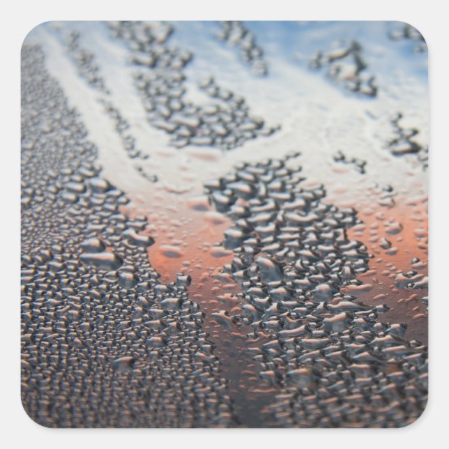 Condensed water drops square sticker (Front)