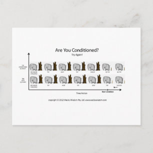 Conditioned Elephant Postcard