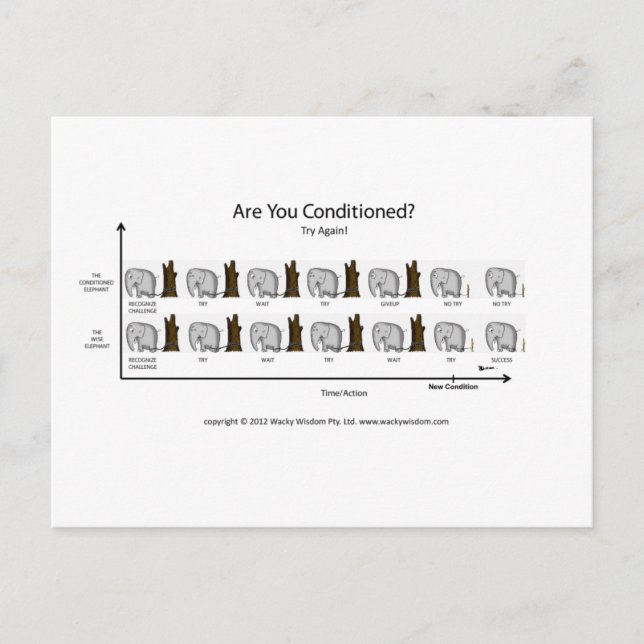 Conditioned Elephant Postcard (Front)