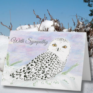 Condolence Snowy Owl In Winter Sunset Color Pencil Card