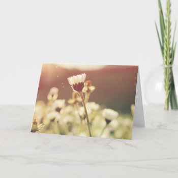 Condolence Sympathy Grief Flower In The Sun Card by TheSillyHippy at Zazzle