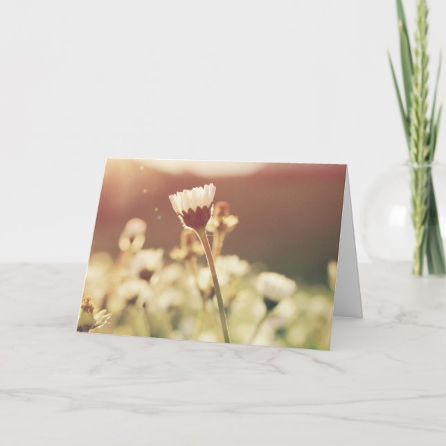Condolence sympathy grief flower in the sun card (Front)