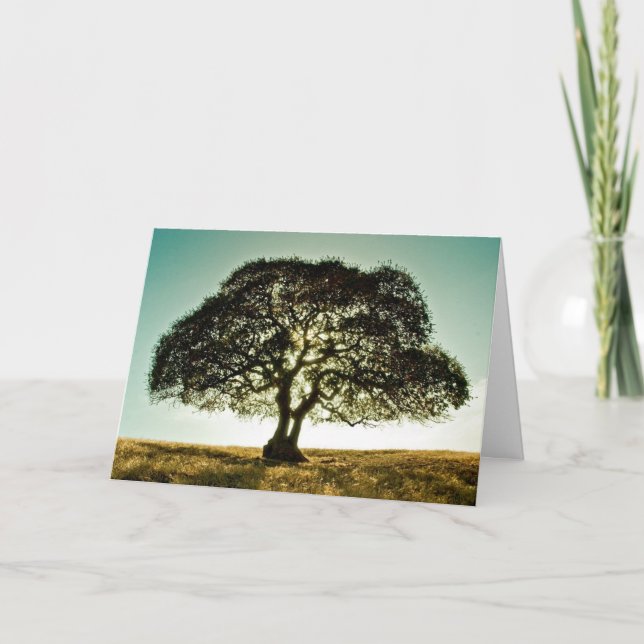 Condolences Card with Tree (Front)