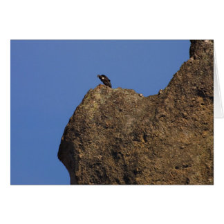 Condor #87 cards