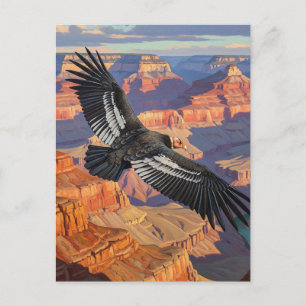 Condor at Grand Canyon National Park Postcard