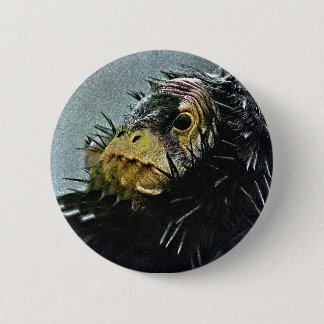 CONDOR MAN PINBACK BUTTON